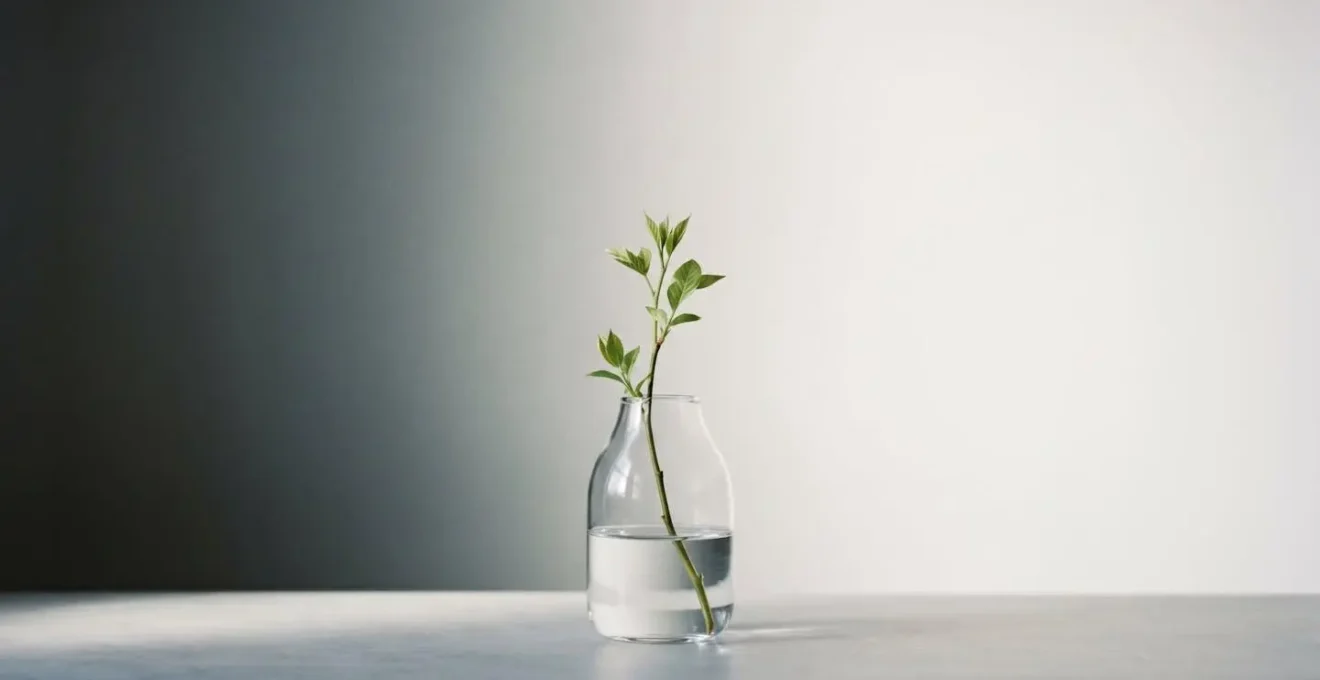 Composition symbolique abstraite évoquant la libération et le nouveau départ avec éléments naturels